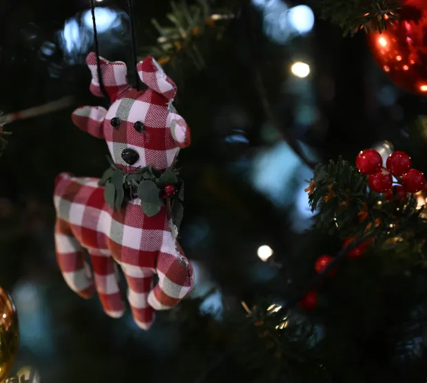 The Scottish tree is seen Sunday, Dec. 7, 2025, at the Moravian Museum of Bethlehem in the 1741 Gemeinhaus in Bethlehem during the "Trees of Historic Bethlehem" exhibition. The show, presented by Historic Bethlehem Museums & Sites, is back for the 2025 holiday season with a collection of the top Christmas trees and themes of the past 20 years. It runs through Jan. 11. (Amy Shortell/The Morning Call)