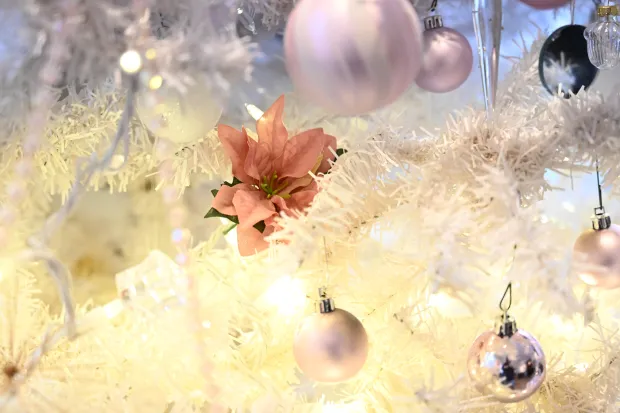 The Winter Wonderland tree is seen Sunday, Dec. 7, 2025, at the Moravian Museum of Bethlehem in the 1741 Gemeinhaus in Bethlehem during the "Trees of Historic Bethlehem" exhibition. The show, presented by Historic Bethlehem Museums & Sites, is back for the 2025 holiday season with a collection of the top Christmas trees and themes of the past 20 years. It runs through Jan. 11. (Amy Shortell/The Morning Call)