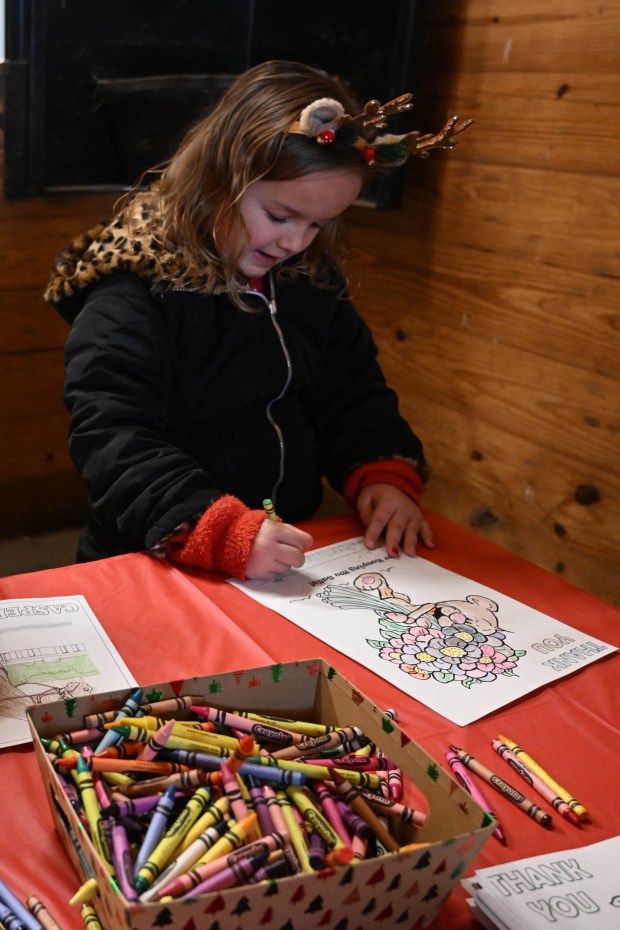 Avrianna Ross,6, of Whitehall, colors a picture during the Holiday with the Horses open house Sunday, Dec. 7, 2025, at the Bethlehem mounted police unit's barn. (Amy Shortell/The Morning Call)