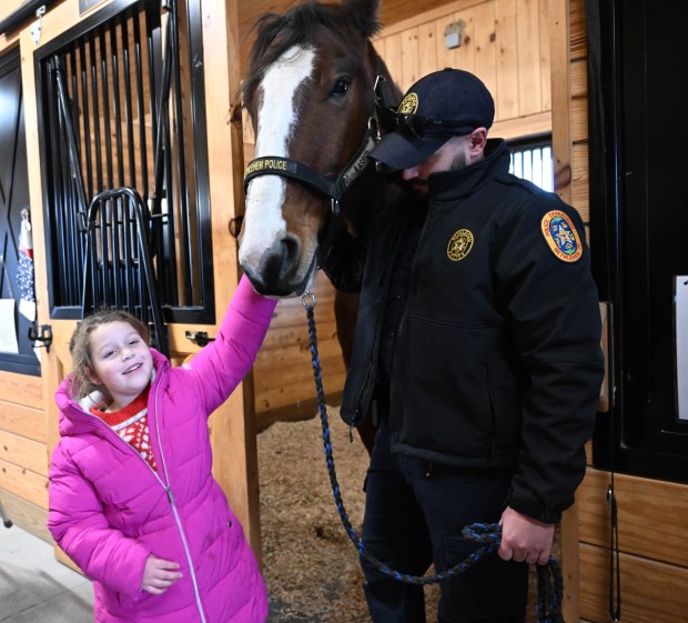 Emma Hernandez,6, of Bethlehem, pets Bethlehem police horse Casper during the Holiday with the Horses open house Sunday, Dec. 7, 2025, at the Bethlehem mounted police unit's barn. (Amy Shortell/The Morning Call)
