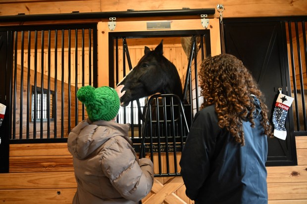 Bethlehem police horse Star gets pats from passersby during the Holiday with the Horses open house Sunday, Dec. 7, 2025, at the Bethlehem mounted police unit's barn. (Amy Shortell/The Morning Call)