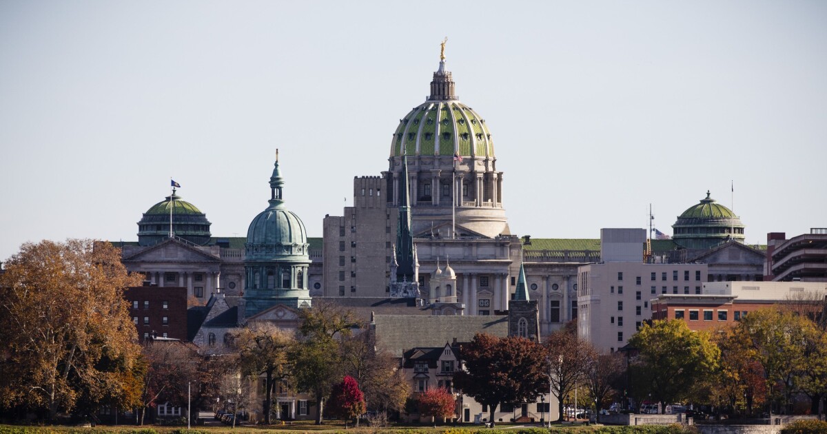 Democratic state House candidate wants public debate before party decision