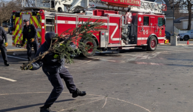 Tossing Christmas trees for charity, Bethlehem event supports survivors of abuse