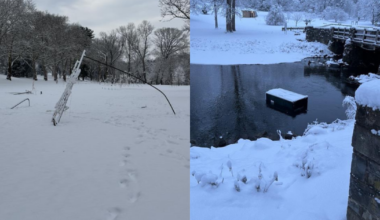 Lights in the Parkway Set to Continue Despite Vandalism