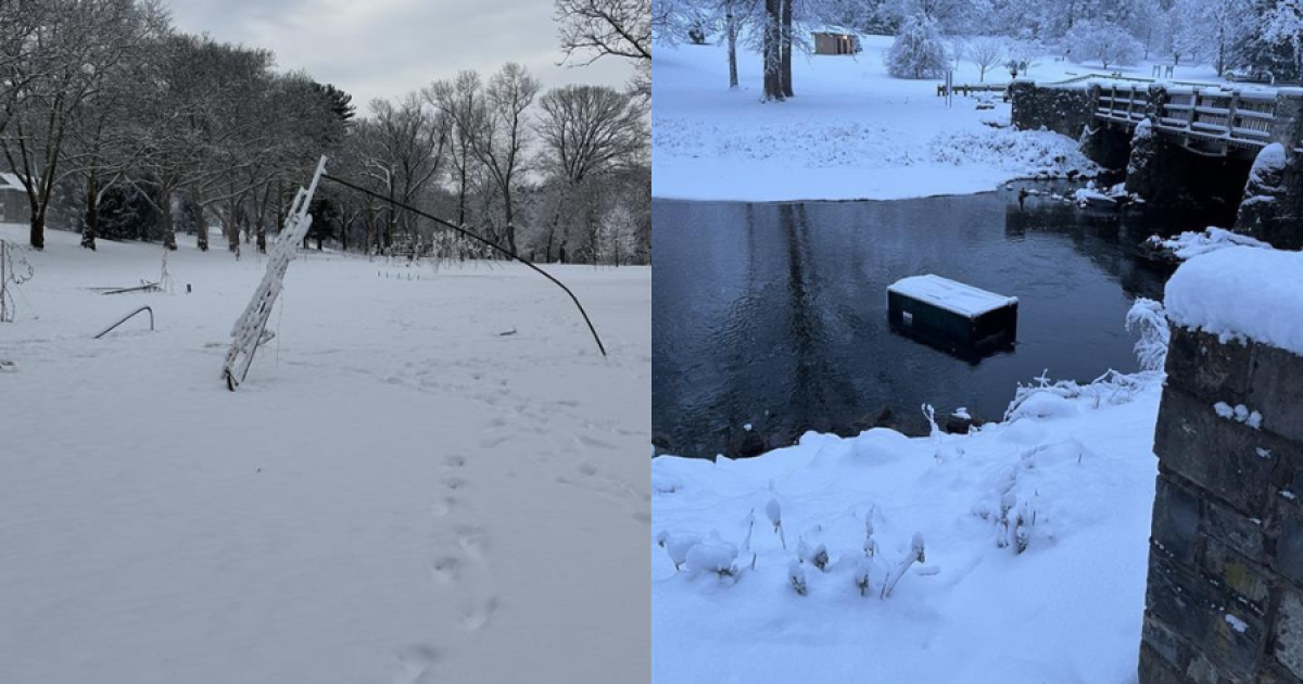 Lights in the Parkway Set to Continue Despite Vandalism