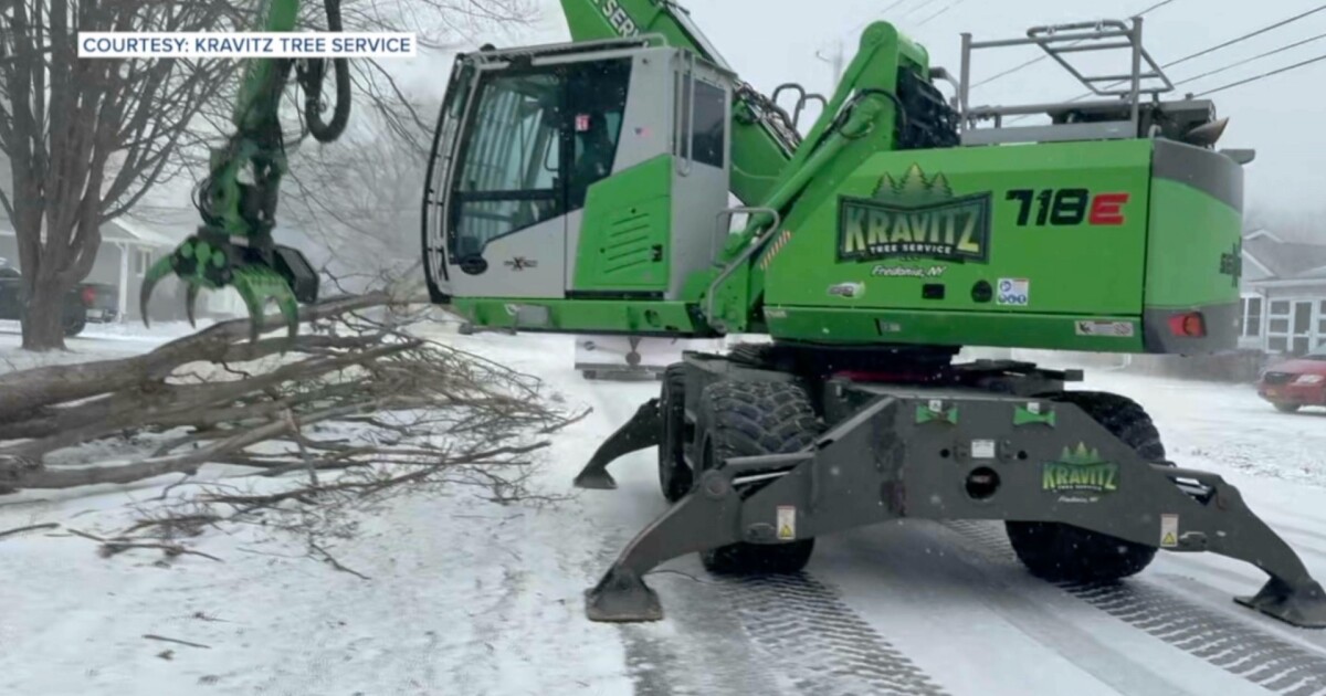 Wind and snow blast Lake Erie shoreline