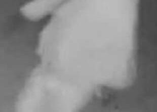 Authorities seek information on residential burglary – Lehigh Valley Press