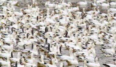 Rest stop – Lehigh Valley Press