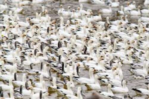 Rest stop – Lehigh Valley Press