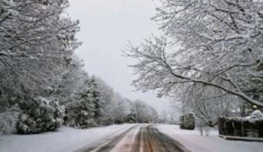 First measurable snow arrives in Lehigh Valley – Lehigh Valley Press