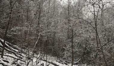 4 great places to boost your family's wellbeing with a winter hike in the Pittsburgh area