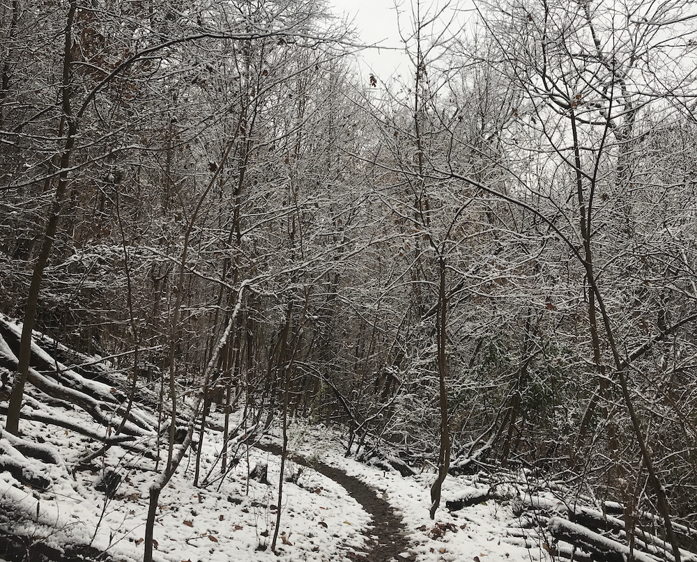 4 great places to boost your family's wellbeing with a winter hike in the Pittsburgh area
