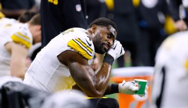 Pittsburgh Steelers' playoff fate tied to DK Metcalf's two-game suspension and a Detroit Lions fan