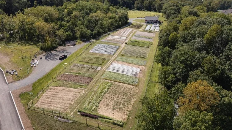 An aerial view shows multi-colored patches of farm land