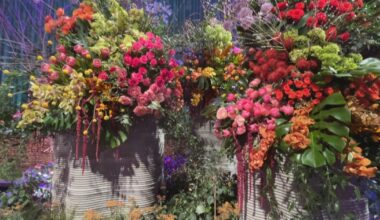 Pennsylvania Horticultural Society to share first look at 2026 Philadelphia Flower Show