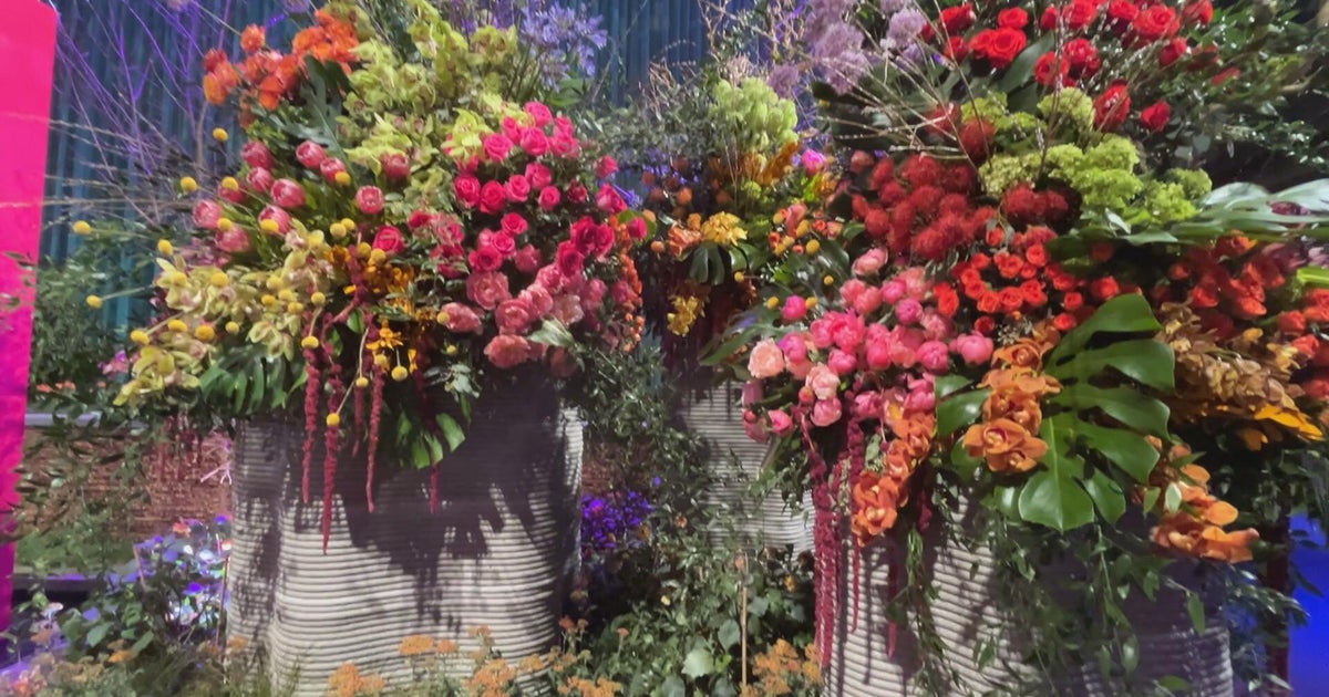 Pennsylvania Horticultural Society to share first look at 2026 Philadelphia Flower Show