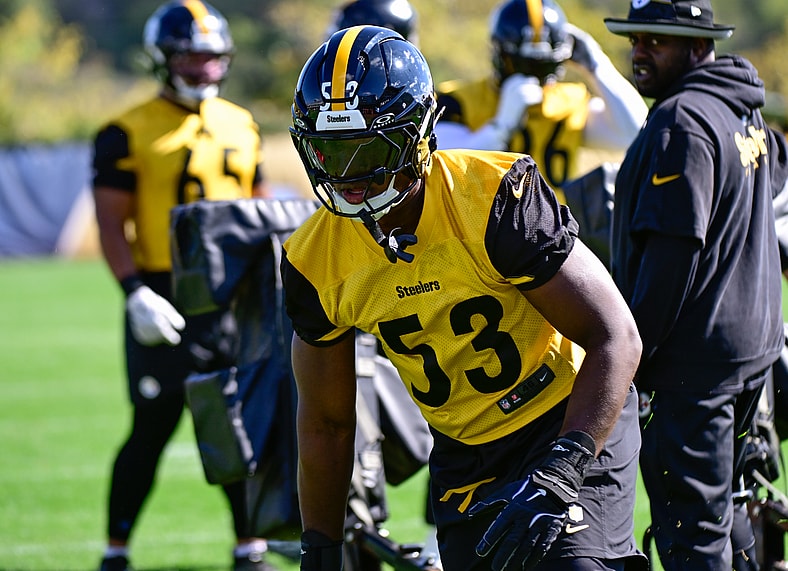 Pittsburgh Steelers OLB KJ Henry