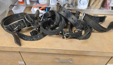 23 dogs chained outside during winter storm in Aliquippa believed to be involved in illegal fighting