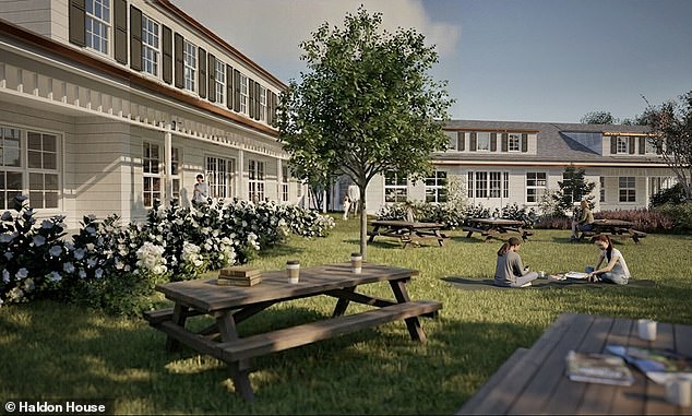 The renderings emphasize Adirondack chairs, hydrangeas, and pedestrian-friendly walkways meant to evoke a timeless village square