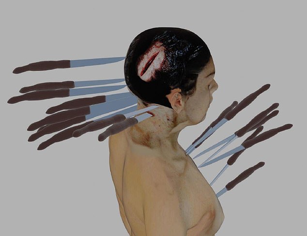 Greenberg was discovered with more than 20 stab wounds to her body, including to her heart and the back of her head, as seen in the Philadelphia medical examiner's analysis. Her death was initially ruled a homicide before being controversially switched to suicide