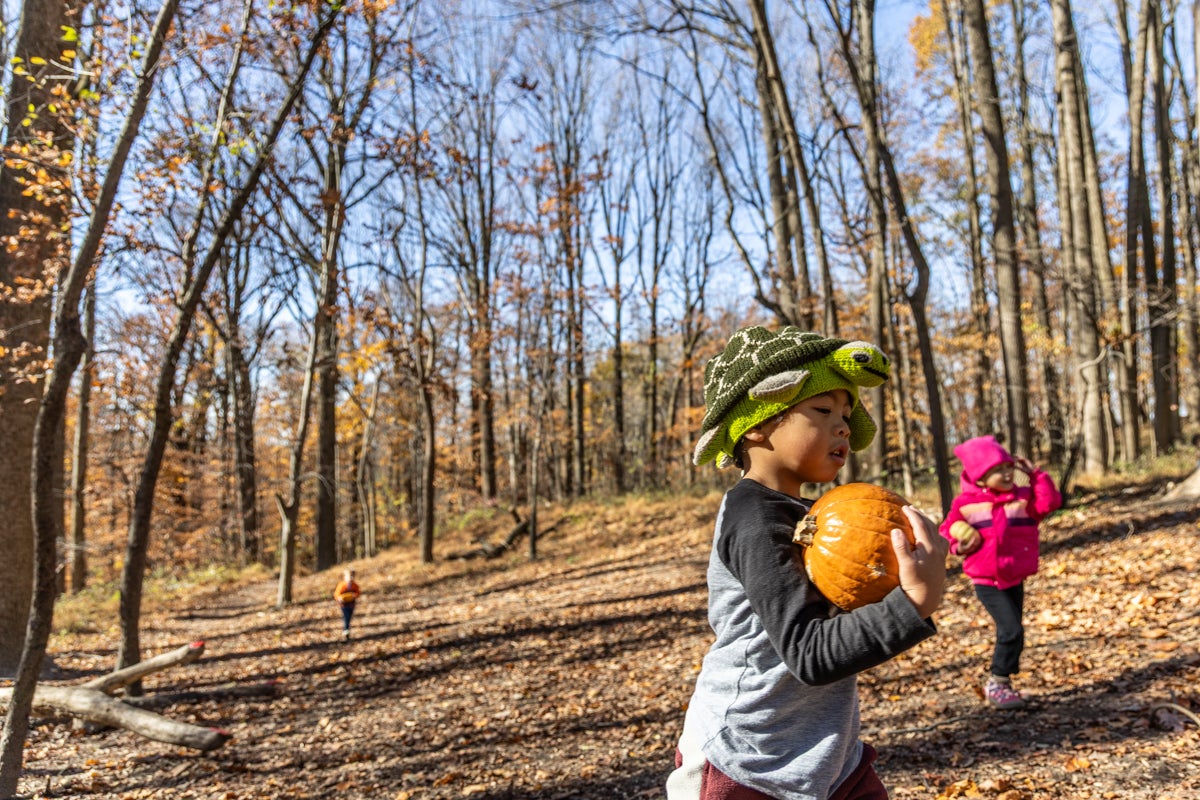 Nature in Philadelphia taps kids’ creativity