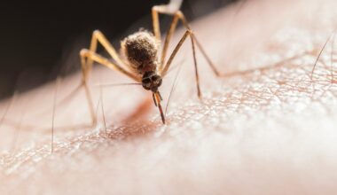Drexel scientists may have found a good use for mosquitoes in 3D printing