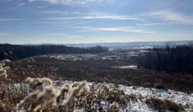 116-acre property near Hughesville donated to Northcentral Pennsylvania Conservancy | News, Sports, Jobs