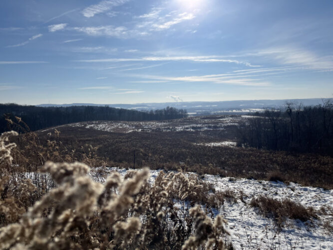 116-acre property near Hughesville donated to Northcentral Pennsylvania Conservancy | News, Sports, Jobs