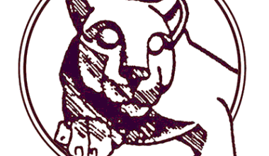 Nick Carr Game Report: vs Lower Merion