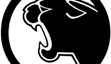 Strath Haven Panthers vs. Lower Merion Aces