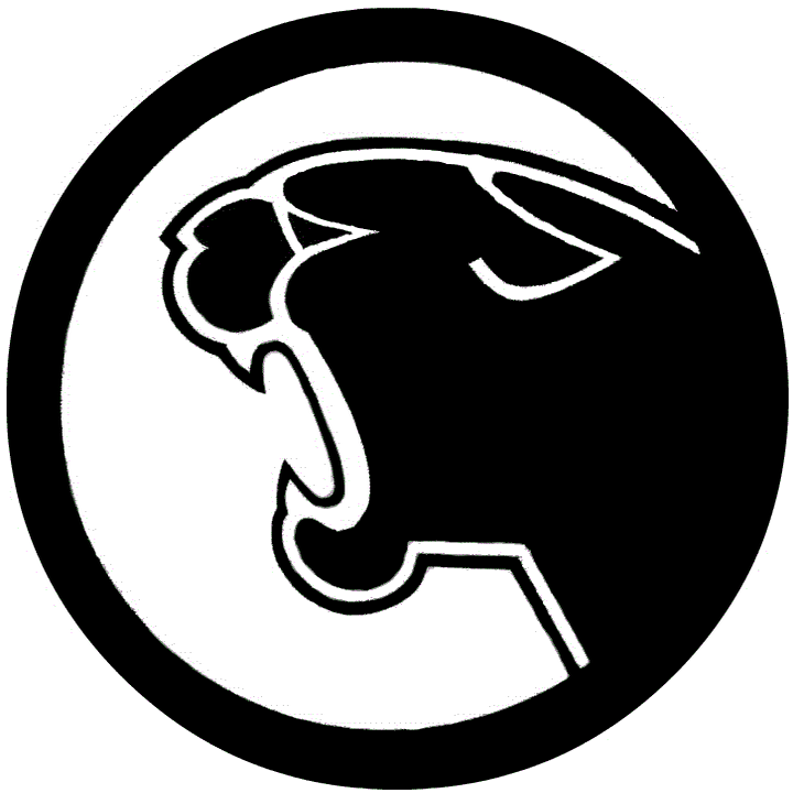 Strath Haven Panthers vs. Lower Merion Aces