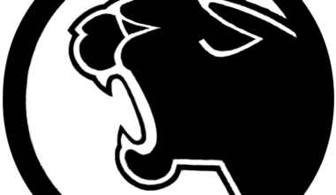 Strath Haven Panthers vs. Lower Merion Aces