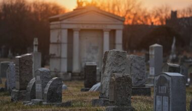 100 skulls and mummified body parts found in a Pennsylvania grave robbery case, police say