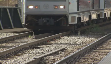 Fallen trees disrupt Red Line service – WPXI