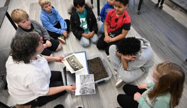 4H at the Library explores the world of potatoes