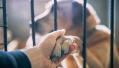 From the Editors: January 2026