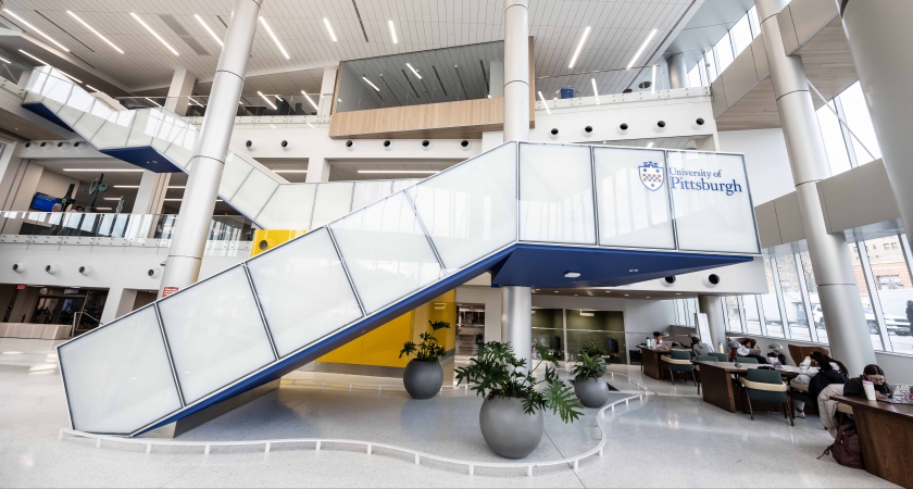 Something looks a little different at Hillman | University Times