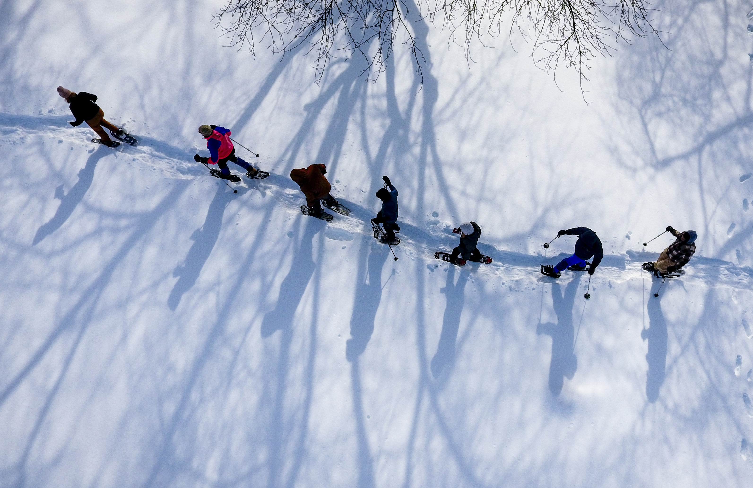 The Emmaus nonprofit Wildlands Conservancy leads a Winter Wildlife Snowshoe excursion Wednesday, Jan. 28, 2026, through Janet Johnston Housenick and William D. Housenick Memorial Park and Archibald Johnston Conservation Area in Bethlehem Township.