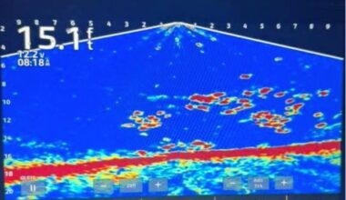 Lake Erie Is Frozen, New Fun Begins | News, Sports, Jobs