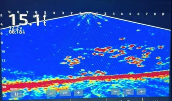 Lake Erie Is Frozen, New Fun Begins | News, Sports, Jobs