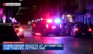 Homeowner shoots at attempted car thieves in Catasauqua, Lehigh County, wounding 1 suspect