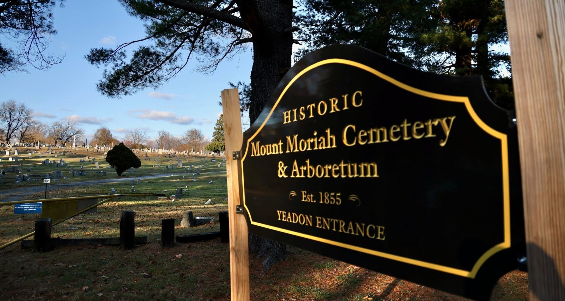 100 sets of human remains stolen from Delco cemetery, possibly others