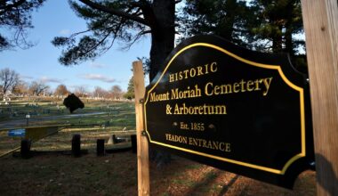 100 sets of human remains stolen from Delco cemetery, possibly others