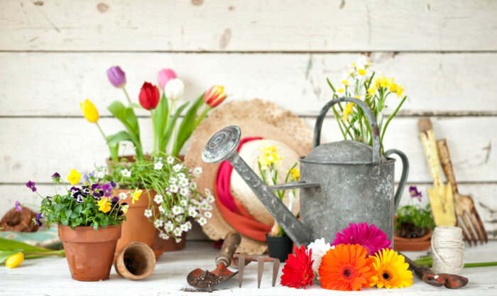 The Philly Home + Garden Show will take place at the Greater Philadelphia Expo Center in Oaks, Pennsylvania.