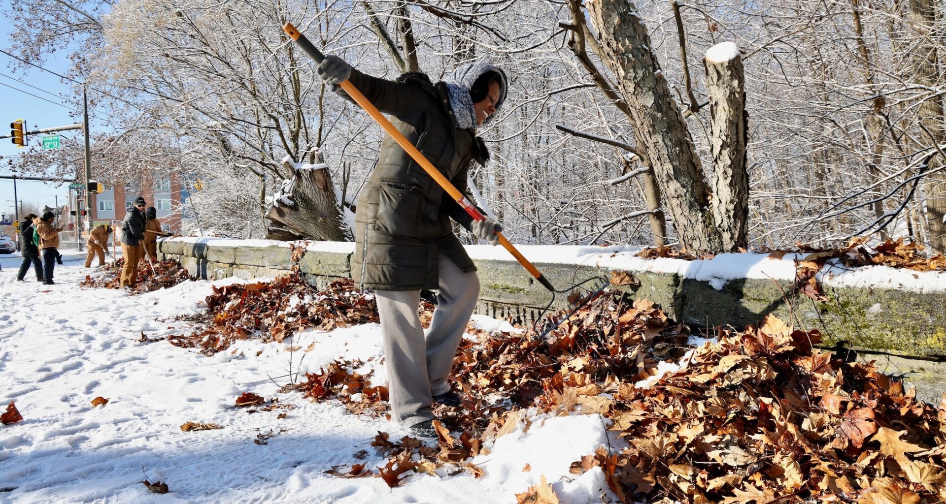 MLK Day in Philly: Volunteers tackle invasive species in Fairmount Park