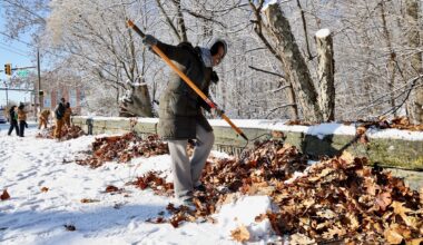 MLK Day in Philly: Volunteers tackle invasive species in Fairmount Park