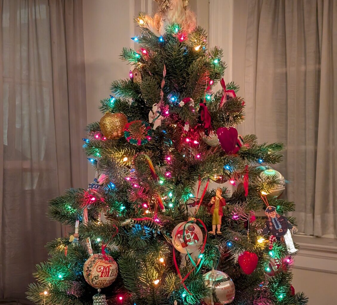 Northwest Philadelphia offers several Christmas tree drop-off sites.