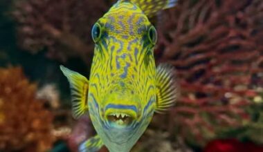 Winter wine under the waves 