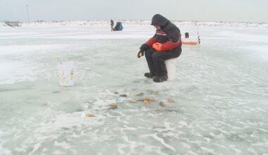 Lake Erie close to full freeze