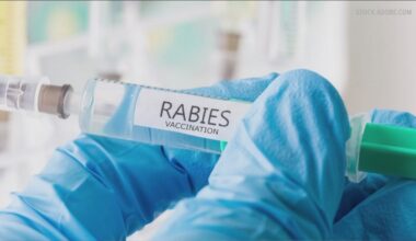 Erie County reschedules rabies vaccination clinic